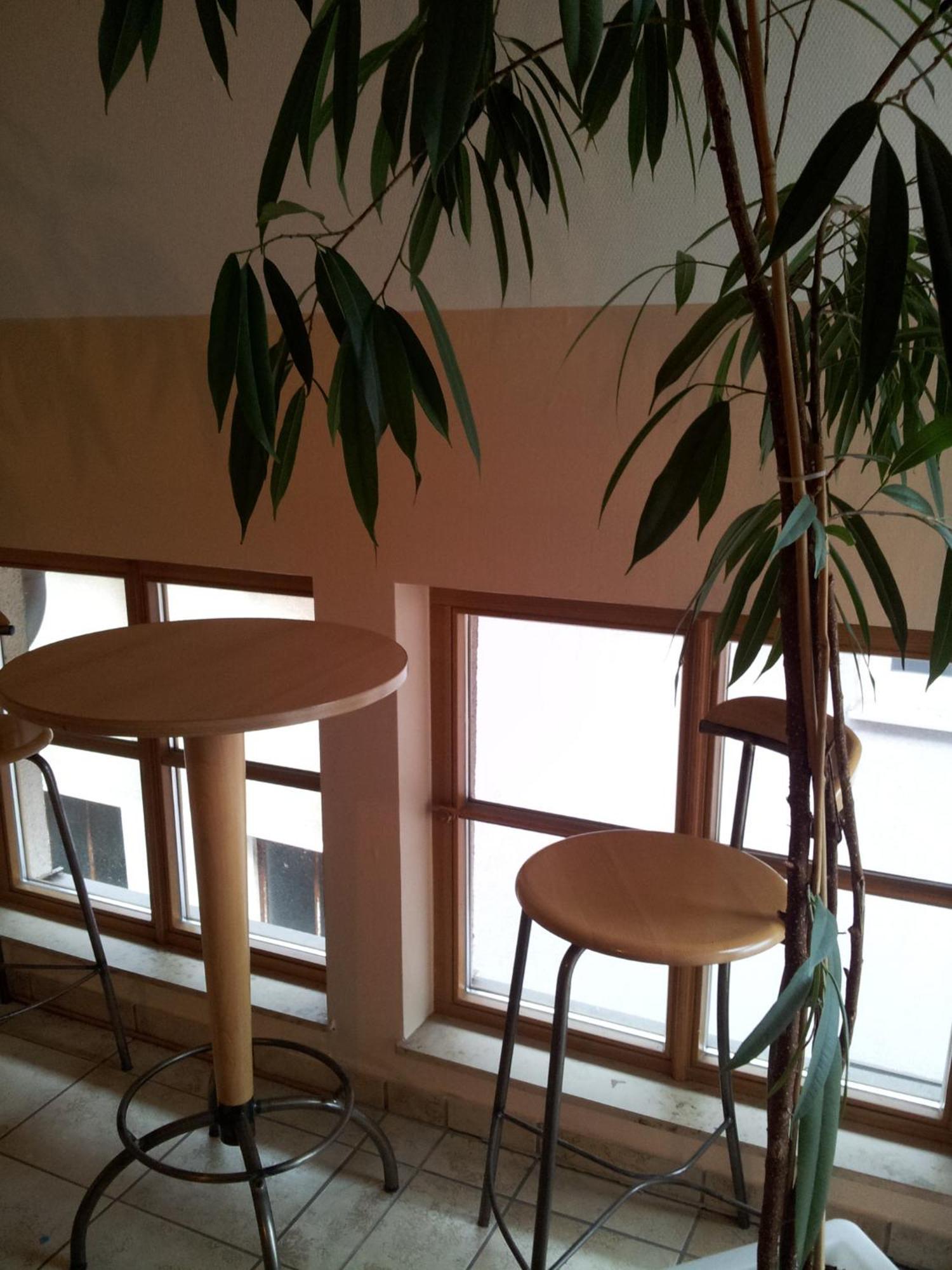 Zur Frischen Quelle Hotel Oberasbach Phòng bức ảnh